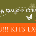 KIT Multi*Albums JANVIER 2012 (1ère version)
