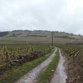 quelques prises de vue du terroir bourguignons (des devrai-je dire)