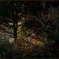 Les Couleurs du Printemps