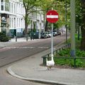 Mère l'oie en balade à Rotterdam ... attention au Tram quand même