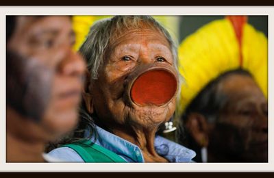 En Amazonie, le chef Raoni lance un appel à l'aide pour faire face à la pandémie