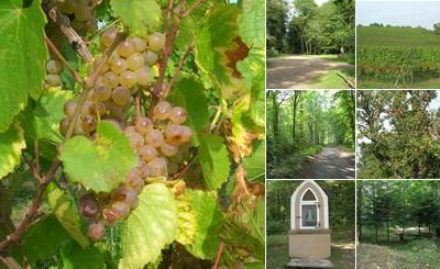 DU COTE DE BERRWILLER : 02/10/2013