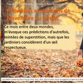👨‍🌾 Novembre en proverbes et citations au jardin. Paysagiste Pays Basque Paysagiste Landes.