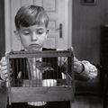 Le Ruban blanc (Das weisse Band - Eine deutsche Kindergeschichte) (2009) de Michael Haneke 