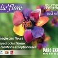 Quelques images de Folie’Flore 2013 à Mulhouse