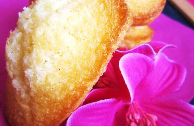 Madeleines aux fraises séchées