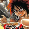 Hinomaru Sumo.1