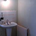 Rénovation de la salle de bain de l'appartement (suite)! 