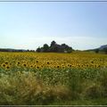 Qu'elle est belle la Provence !! Ai pris le temps