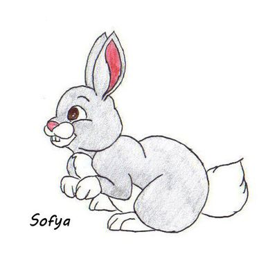Lapin
