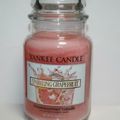 Sparkling Grapefruit, Yankee Candle