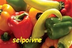 MINI POIVRON JAUNE, AIL ET FINES HERBES, OLIVE NOIRE