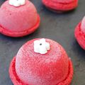 Macarons à la mousse de framboises