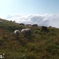 Sur le Puy de Dôme #2