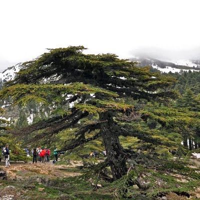 tidghine .. azila .. ketama .. issaguen .. ikaouen