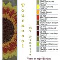 Tournesol