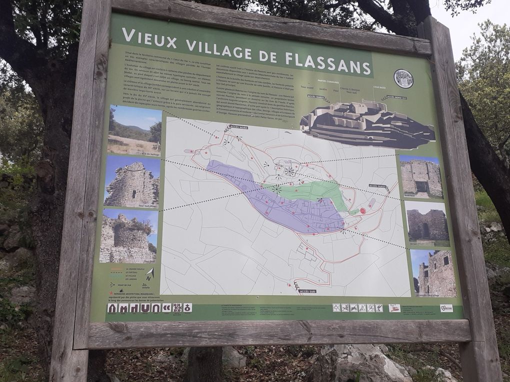 13km dans les collines de Flassans pour 13 sportifs 