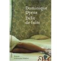 Délit de fuite - Dominique Dyens