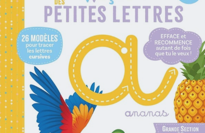 Mon super cahier effaçable des petites lettres