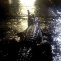 Inondations en Australie