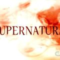 Supernatural- [5x11] à [5x22]