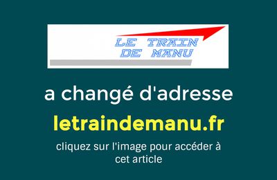 Une locomotive à vapeur en bois fonctionnelle [Nature et Découvertes]