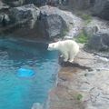 ZOO de Saint Félicien