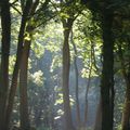 Sortie de classe en forêt ^_^