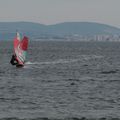 Windsurfeurs à Marseillan le vendredi 10 novembre après-midi