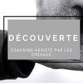 Découverte du coaching assisté par les chevaux - Zom'Altitude