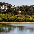 LE PARC ECOLOGIQUE IZADIA