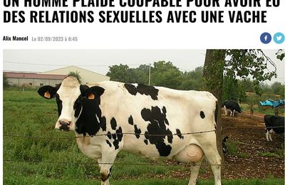 ahhh la vache !