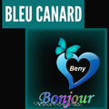  Le Bleu canard ... l’utiliser en décoration