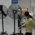 Des ventilatuers installes partout dans l'usine