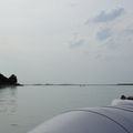 La Baie de Somme et ses phoques. La plus grande