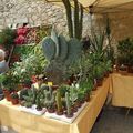 Marché aux fleurs de Fourcès (Gers) - 6/...