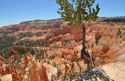 Bryce Canyon