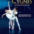 "Swan Lake" le ballet, au Théâtre des Champs-Elysées