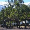 Pointe de Langevin, La Reunion