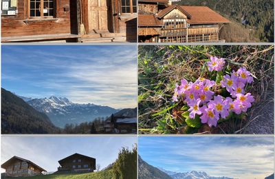 Le temps des fleurs - Retour dans le petit village dans les montagnes 