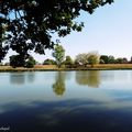 Une balade à l'Etang de ST JEAN DE LIER (40)...