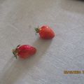 Les premières fraises de l'année.