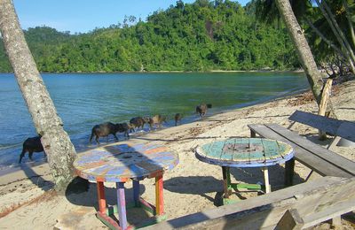 Un petit coin de paradis sur Sumatra