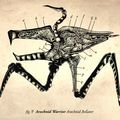 Arachnid Warrior Anatomy