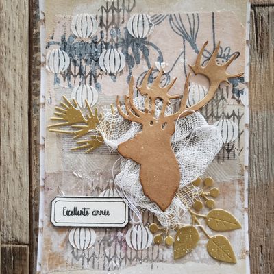 Les merveilles de ma BAL Janvier 26