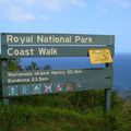 the Royal National Park