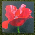 Gentil coquelicot, mesdames, gentil coquelicot nouveau