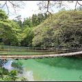 Loboc River