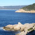 Bandol - Saint Cyr