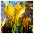 Challenge du Printemps Elfique 2016 